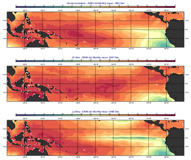 GRIB - ERA5 SST El Nino Maps